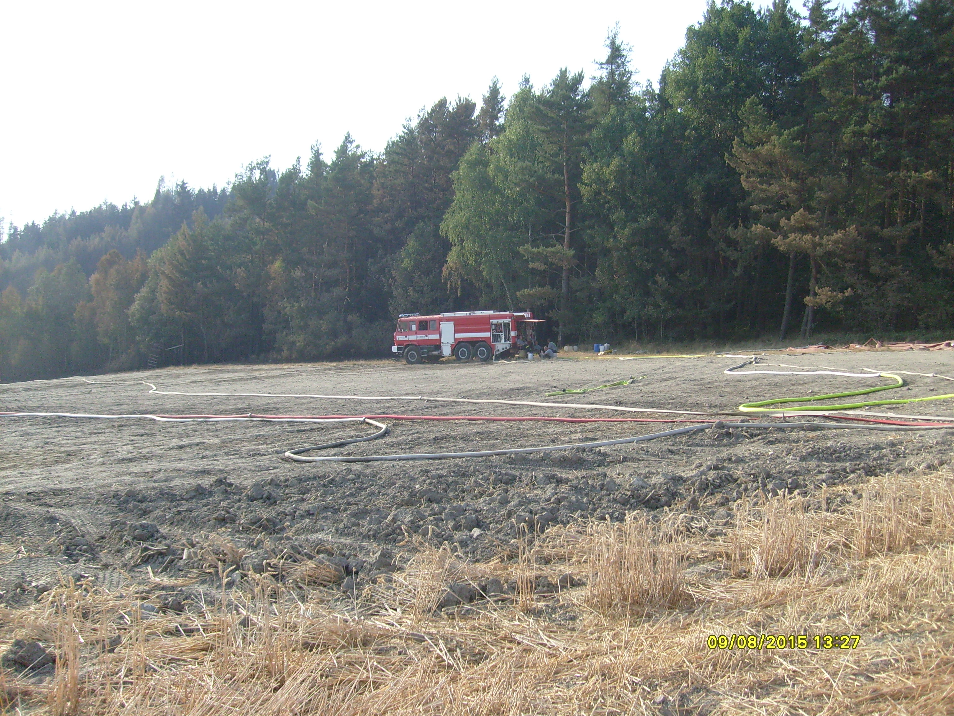 S7300494